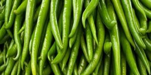 Spicy Green Chilli