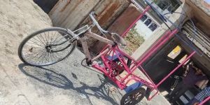 250 Kg Pink Ice Cream Tricycle