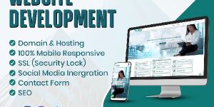 Web Portal Development