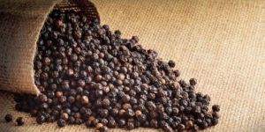 B Grade Black Pepper Seeds