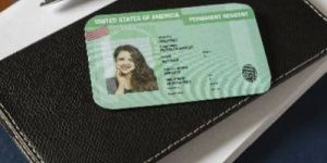 Identity Cards Printing Services