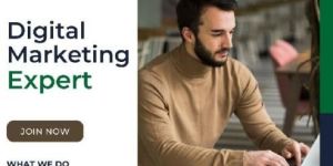 Digital Marketing Agency