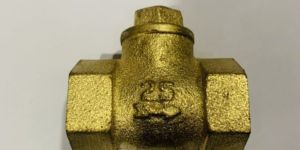 Horizontal Check Valve