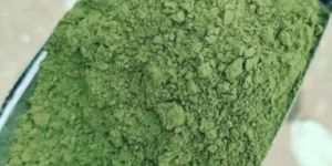 Wheatgrass Powder