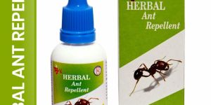 Herbal Ant Repellent