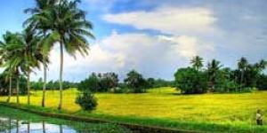 Agricultural Property