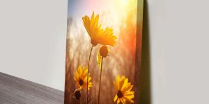 Canvas Digital Printing