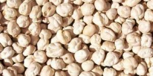 White Kabuli Chana