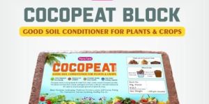 Cocopeat Blocks