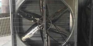 Greenhouse Exhaust Fan