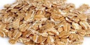 Wheat Flakes