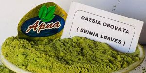 Senna Leaves Powder