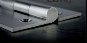 Stainless Steel Door Hinges
