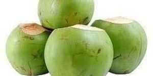 Fresh Tender Coconut