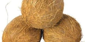 Fully Husked Coconut