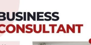 Business Consultant Services