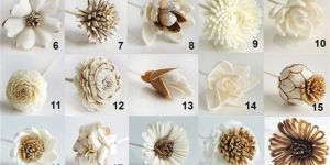 sola wood flowers - rare designs