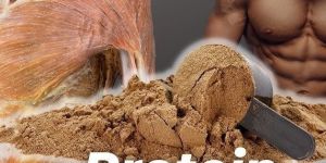 Workout Whey Protein Powder