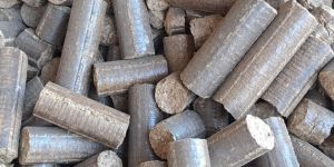 Mustard Stalk Briquette