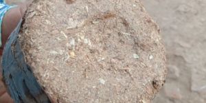 Saw Dust Briquettes