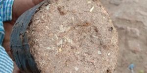 Sawdust Briquette