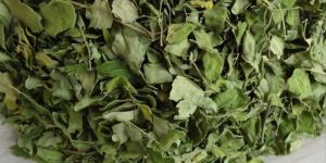 Dried Moringa Leaves