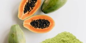 Papaya Extract Powder