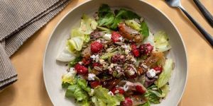 WHEAT STRAW DINNER PLATES - 10 INCH