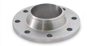 Stainless Steel Forging