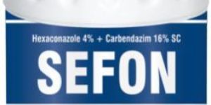 Sefon Systemic Fungicide