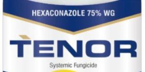 Tenor Systemic Fungicide