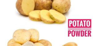 Dehydrated Potato Powder