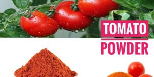 Dried Tomato Powder
