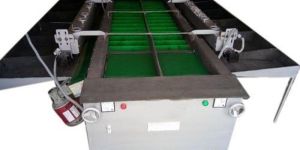 Double Belt Apple Grading Machine
