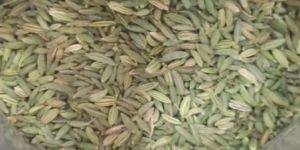 Fennel Seeds