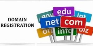 Domain Registration Service