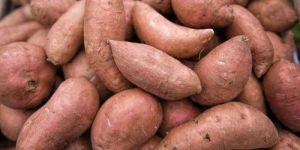 Fresh Sweet Potato