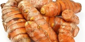 Raw Turmeric Finger