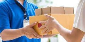 Domestic Courier Service