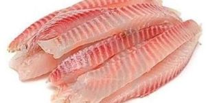 Basa Fish Fillet