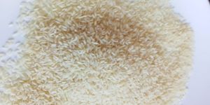 Sona Masoori Steam Rice