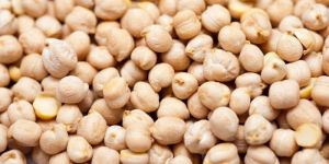 White Chickpeas