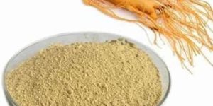 Ginseng Extract Powder