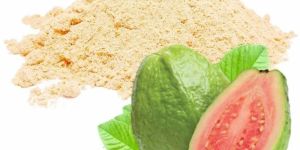 Guava Fruit Powder