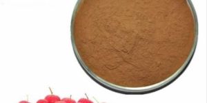 Hawthorn Berry Extract