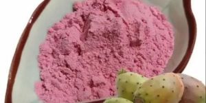 Prickly Pear Herbal Extract