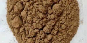 Sharpunkha Malt Extract Powder