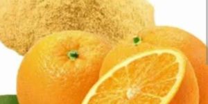 Spray Dried Orange Powder