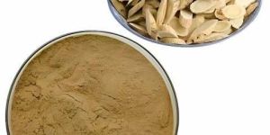 Tulsi Extract Powder