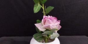 Ceramic Apple Shape Planter Pot